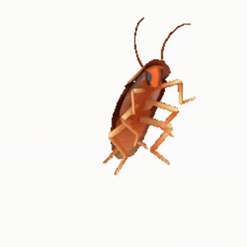cockroach-dancing-1884394285.gif